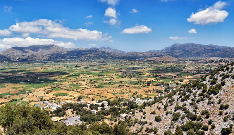 Lasithi Plateau