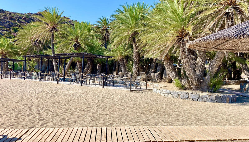 Vai Palm Beach